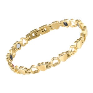 3i1 Magnetarmbånd Stjerne Nashira